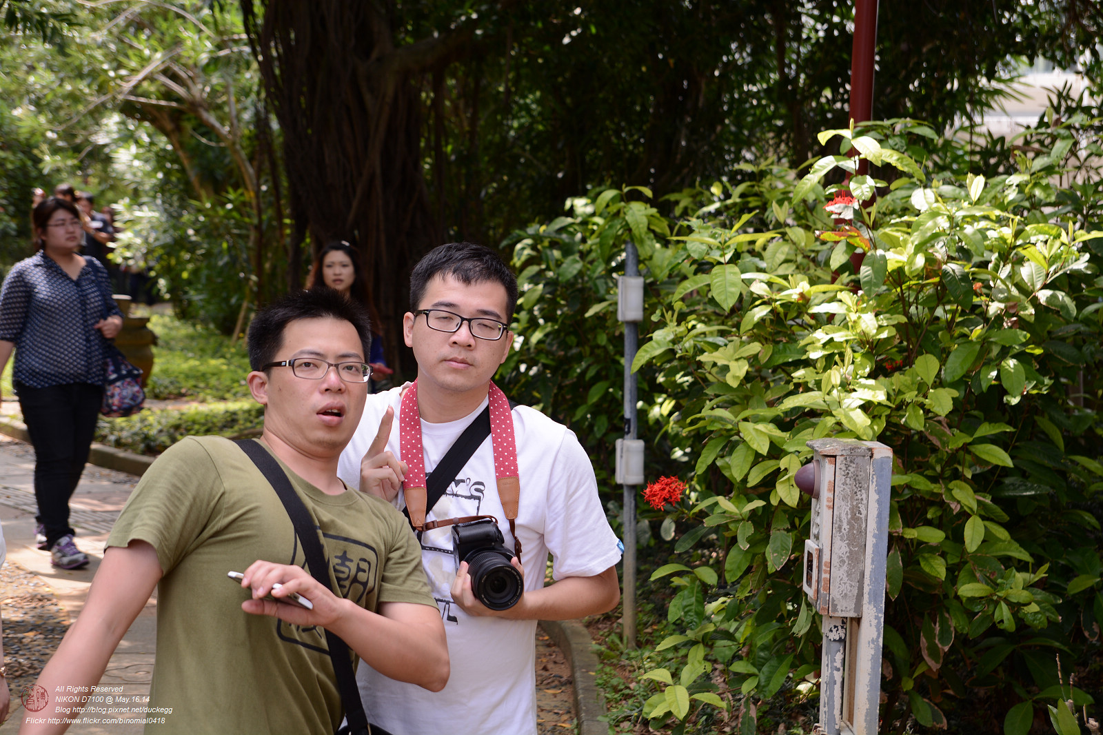 DSC_3433.jpg